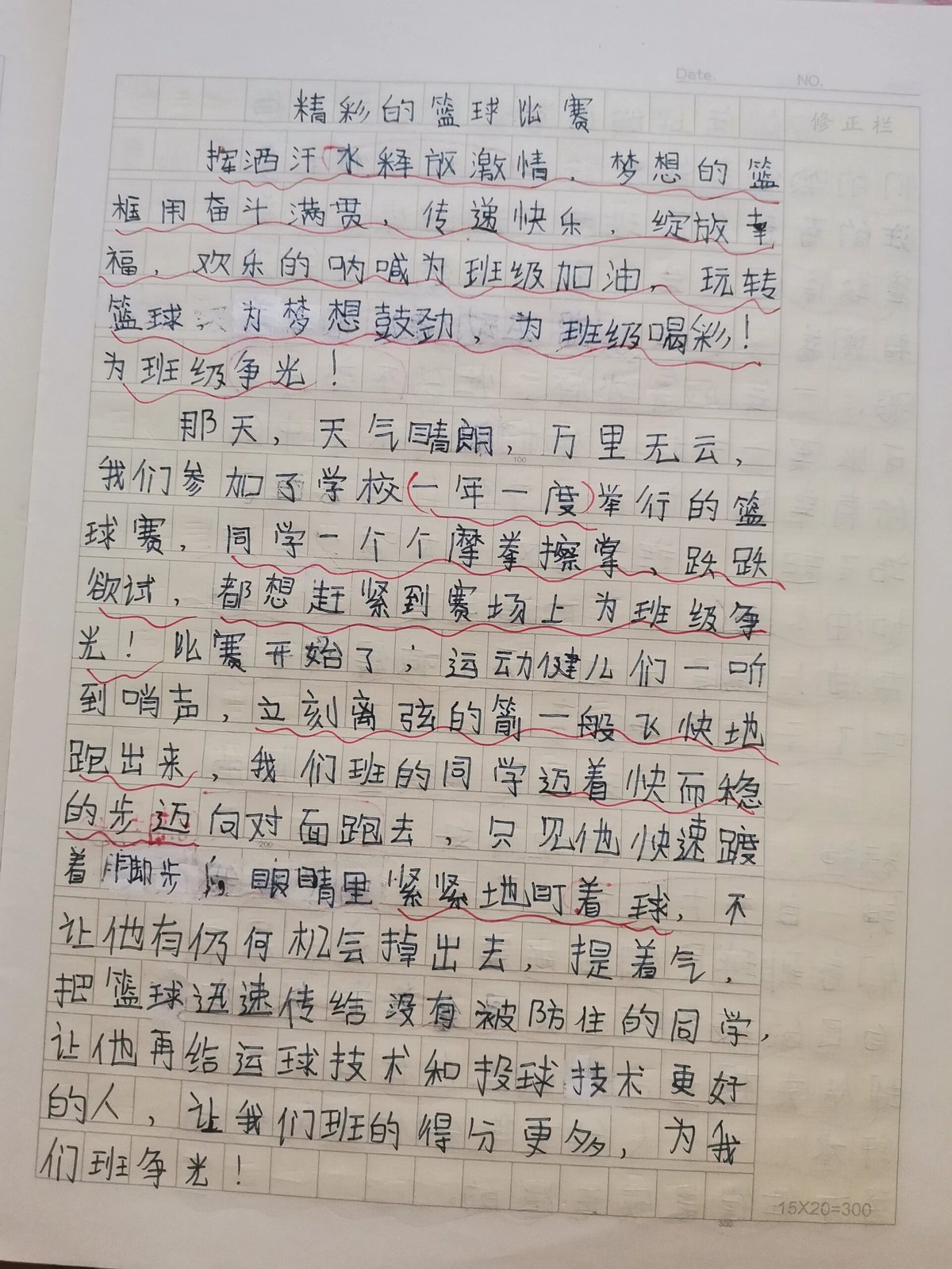 篮球运动训练指南读后感